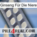 Ginseng Für Die Niere 08